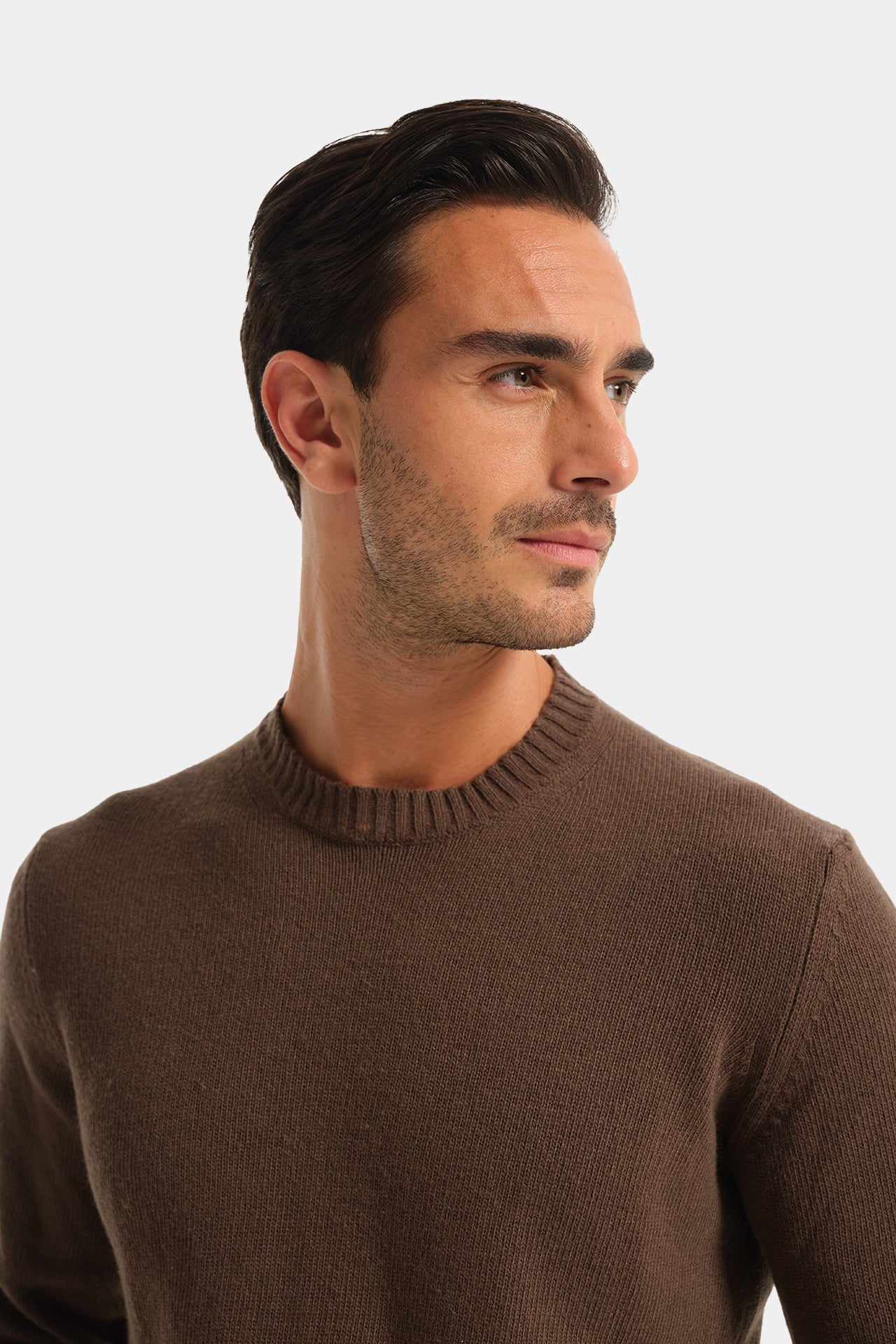 Crewneck Sweater Mixed Cashmere Mud Fineness 7